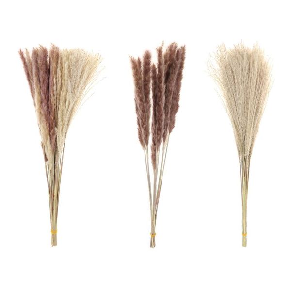 decorative flowers & wreaths 10/30x farmhouse rustic natural dried pampas grass home wedding boho decor
decorative flowers & wreaths 10/30x farmhouse rustic natural dried pampas grass home wedding boho decor