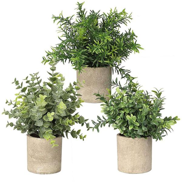 artificial plant indoors decorations in pots 3pcs simulation mini potted plants for greenery decoration wedding holiday gifts
artificial plant indoors decorations in pots 3pcs simulation mini potted plants for greenery decoration wedding holiday gifts