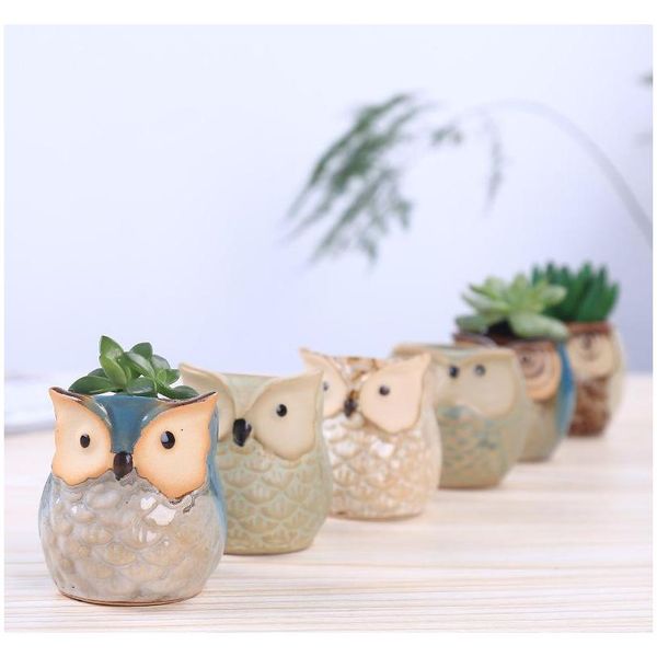 new cartoon owl-shaped flower pot for succulents fleshy plants flowerpot ceramic small mini home/garden/of jllqxb warmslove
new cartoon owl-shaped flower pot for succulents fleshy plants flowerpot ceramic small mini home/garden/of jllqxb warmslove