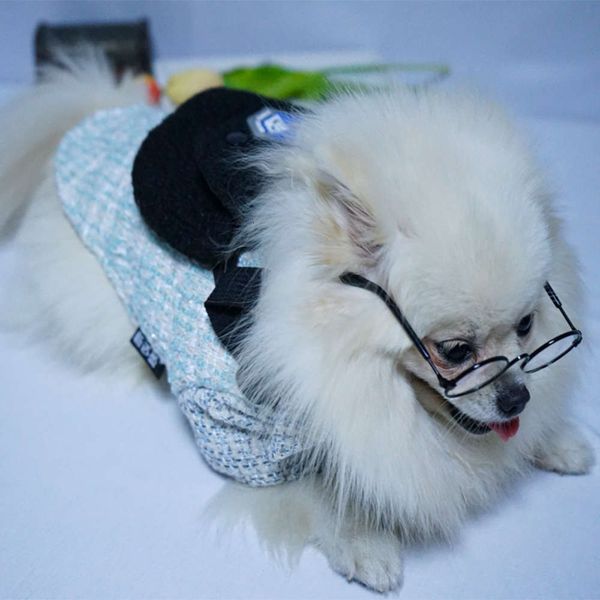 new pet clothing season keeping warm dogfight orange cat bear mini dog backpack lattice autumn winter coat
new pet clothing season keeping warm dogfight orange cat bear mini dog backpack lattice autumn winter coat