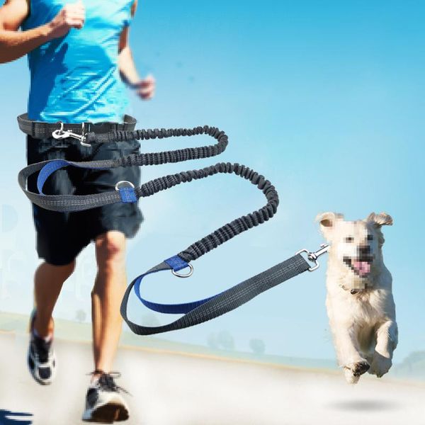 dog collars & leashes pet elastic leash sports running walking multifunctional traction hands harnesses for dogs supplies
dog collars & leashes pet elastic leash sports running walking multifunctional traction hands harnesses for dogs supplies
