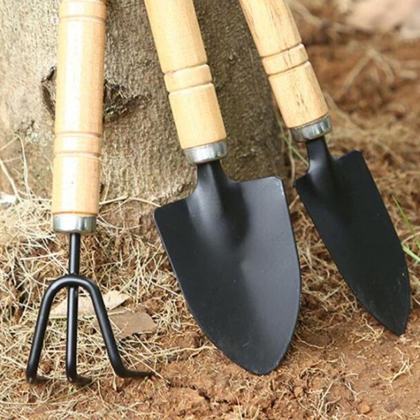 professional hand tool sets 3 pcs garden plant tools mini wooden handle shovel rake spade bonsai succulent kit for potting weeding fertilizi
professional hand tool sets 3 pcs garden plant tools mini wooden handle shovel rake spade bonsai succulent kit for potting weeding fertilizi