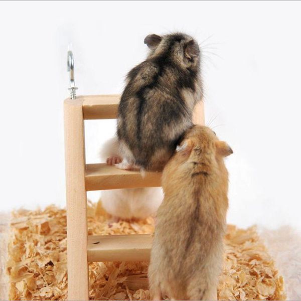 small animal supplies wooden hamster ladder pet stair toys animals climbing budgie rodent cage ladders
small animal supplies wooden hamster ladder pet stair toys animals climbing budgie rodent cage ladders