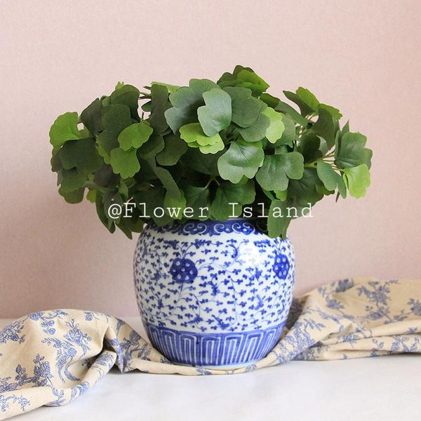 simulation plant ginkgo leaf simulation green leaf flower arrangement and flower plant wall garden decoration wedding
simulation plant ginkgo leaf simulation green leaf flower arrangement and flower plant wall garden decoration wedding