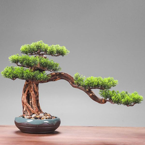 pine bonsai to welcome guests new chinese style the simulation plant l club porch sitting room fake plants home decoration
pine bonsai to welcome guests new chinese style the simulation plant l club porch sitting room fake plants home decoration