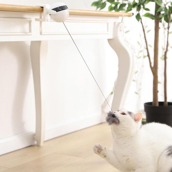cat toys hobbylane funny teaser interactive toy electric lifting ball for training tool
cat toys hobbylane funny teaser interactive toy electric lifting ball for training tool