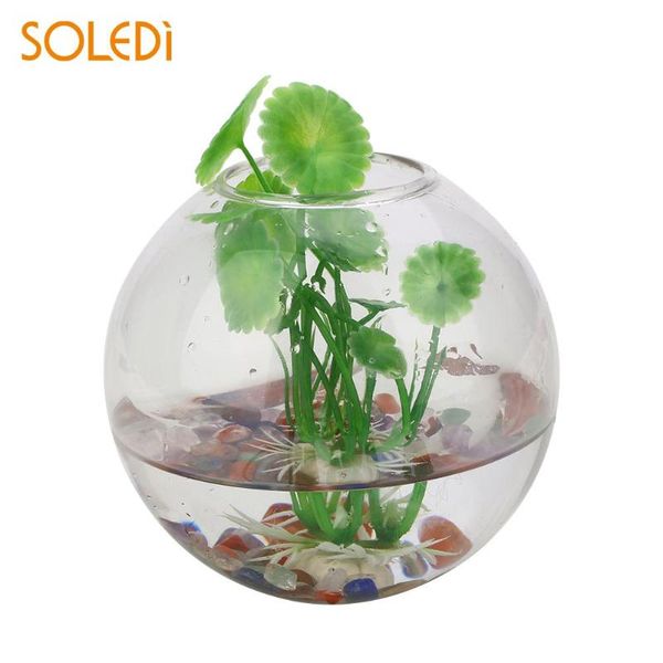 vases wall hang glass flower vase terrarium container home garden office 8cm uk stock
vases wall hang glass flower vase terrarium container home garden office 8cm uk stock