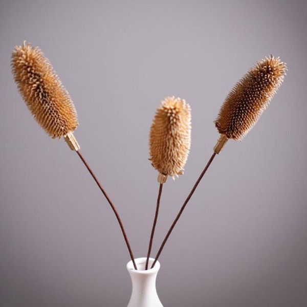 decorative flowers & wreaths 3/5/10/15/30pcs natural dried eucalyptus branch wheat wedding pine acorn decoration home leaf for nordic part m
decorative flowers & wreaths 3/5/10/15/30pcs natural dried eucalyptus branch wheat wedding pine acorn decoration home leaf for nordic part m