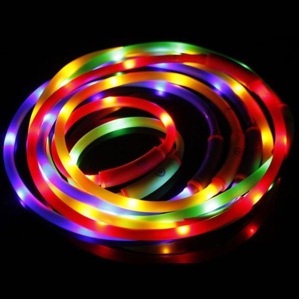 dog collars & leashes led collar water-resistant safety creative usb rechargeable pet flashing glowing light cat
dog collars & leashes led collar water-resistant safety creative usb rechargeable pet flashing glowing light cat