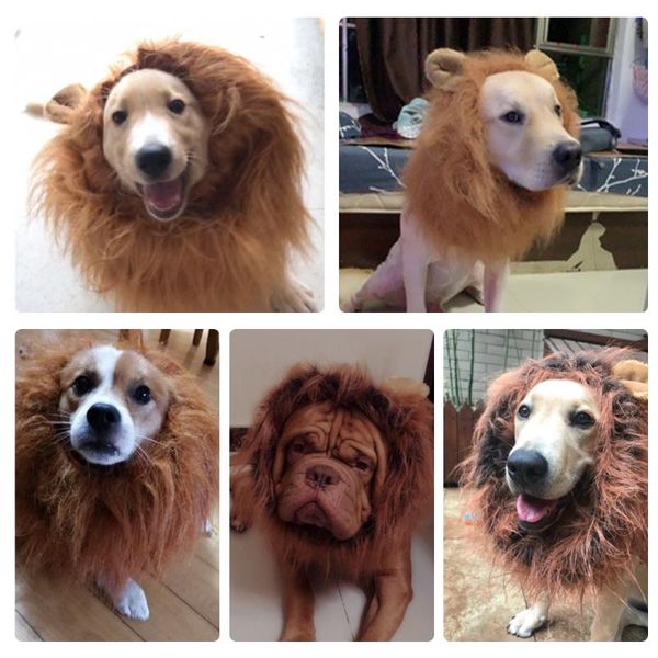 cat costumes costume lion mane dog with ear christmas halloween decor funny adjustable wig
cat costumes costume lion mane dog with ear christmas halloween decor funny adjustable wig