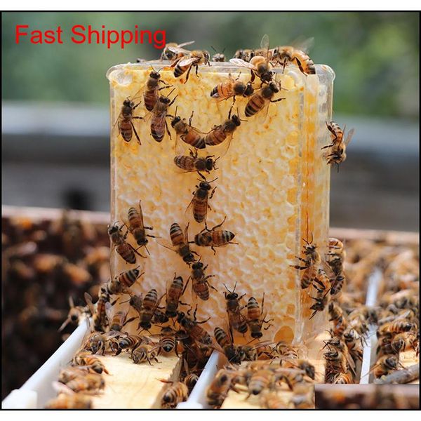 500g comb honey cassette container, 500g capacity combhoney boxes, plastic containers for comb honey, ho jllmsa bdesybag
500g comb honey cassette container, 500g capacity combhoney boxes, plastic containers for comb honey, ho jllmsa bdesybag
