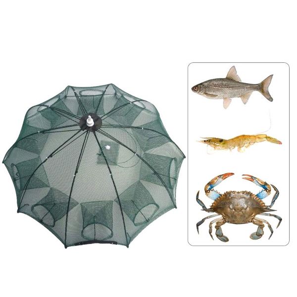 fishing bait trap folded crab fishing net crawdad automatic shrimp cast dip cage fish minnow foldable fishnet (10 holes)
fishing bait trap folded crab fishing net crawdad automatic shrimp cast dip cage fish minnow foldable fishnet (10 holes)
