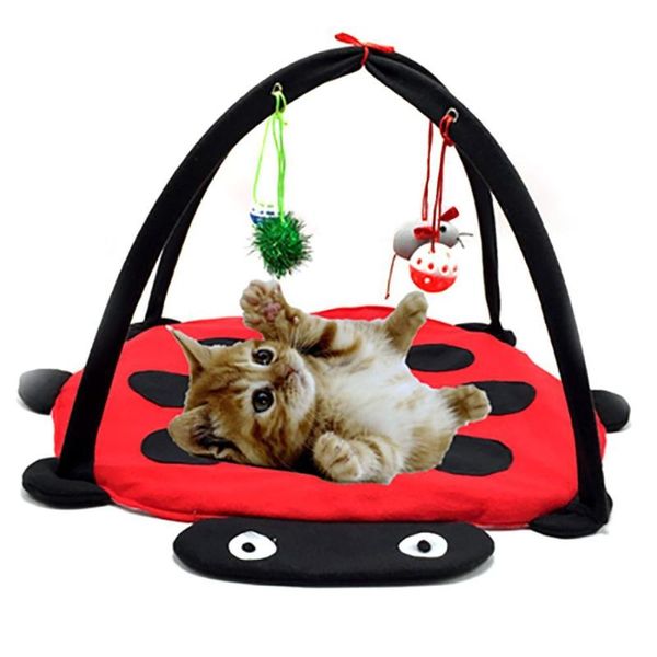 cats beds foldable pet cats hammock soft cotton breathable tent kitten playing toys lbshipping
cats beds foldable pet cats hammock soft cotton breathable tent kitten playing toys lbshipping