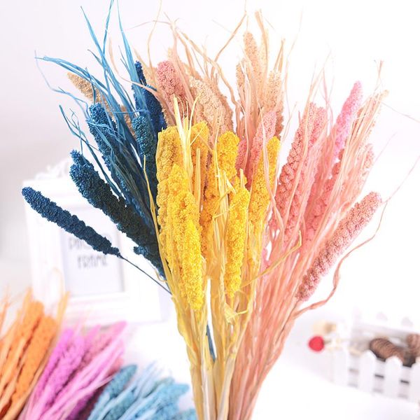 decorative flowers & wreaths 10pcs natural dried grain wheat ears bouquet artificial family wedding table decoration diy wreath fake plant
decorative flowers & wreaths 10pcs natural dried grain wheat ears bouquet artificial family wedding table decoration diy wreath fake plant