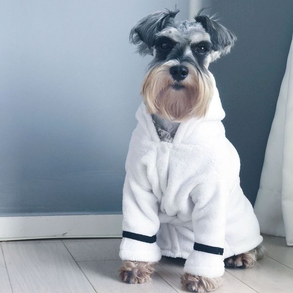 french budog winter hoodies pet dog cothes for sma dogs cothing chihuahua absorbent bathrobe pug keep warm costume pc1277
french budog winter hoodies pet dog cothes for sma dogs cothing chihuahua absorbent bathrobe pug keep warm costume pc1277