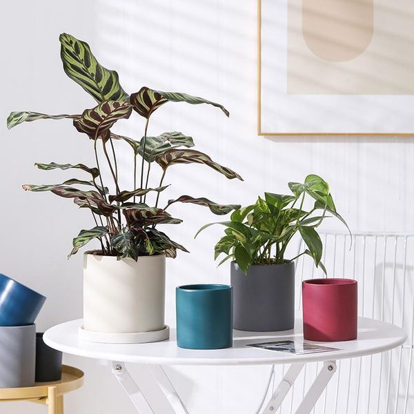 planters & pots 1pc european pure color flower pot home decoration succulent ceramic flowerpot plant
planters & pots 1pc european pure color flower pot home decoration succulent ceramic flowerpot plant