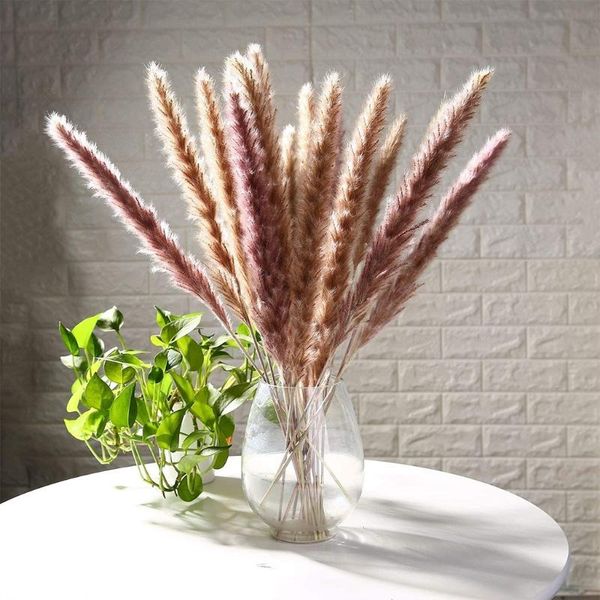 decorative flowers & wreaths 15pcs small reed plumes bouquet natural dried flower pampas dog tail grass phragmites plants wedding bunch home
decorative flowers & wreaths 15pcs small reed plumes bouquet natural dried flower pampas dog tail grass phragmites plants wedding bunch home