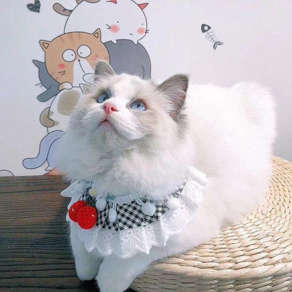 cat collars & leads cute pet triangular scarf red cherries kitten neckerchief lace plaid puppy collar saliva towel accessories
cat collars & leads cute pet triangular scarf red cherries kitten neckerchief lace plaid puppy collar saliva towel accessories