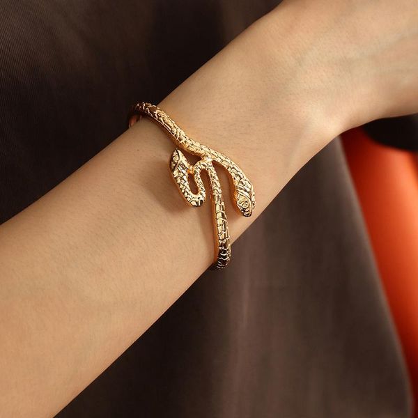 bangle fashion gold snake bangles for men adjustable opening boho 2 snakes bracelet women punk jewelry girl pulseras accessories, Black
bangle fashion gold snake bangles for men adjustable opening boho 2 snakes bracelet women punk jewelry girl pulseras accessories, Black