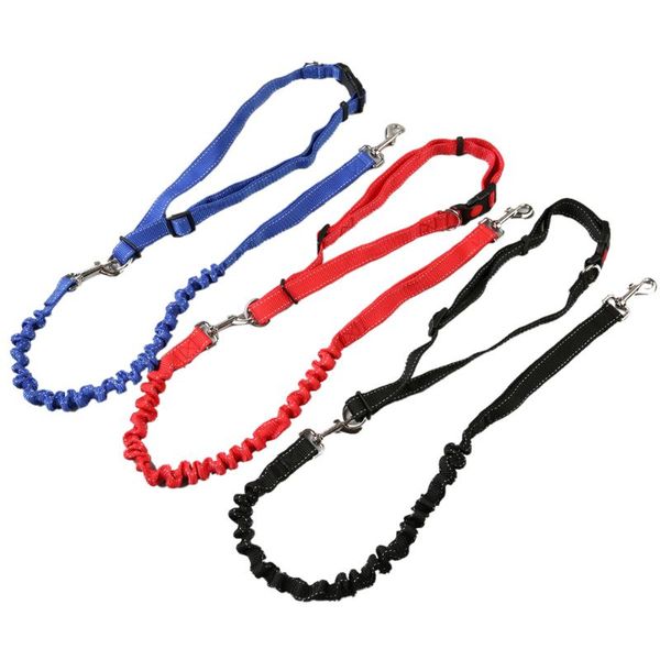 new reflective leash traction rope pet dog running belt elastic hands y jogging pull dog leash metal d-ring leashes
new reflective leash traction rope pet dog running belt elastic hands y jogging pull dog leash metal d-ring leashes