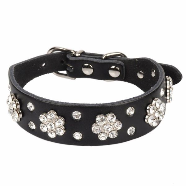 dog collars & leashes pipifren small dogs cats rhinestone genuine leather for puppy necklace pet accessories supplies personalized chihuahua
dog collars & leashes pipifren small dogs cats rhinestone genuine leather for puppy necklace pet accessories supplies personalized chihuahua