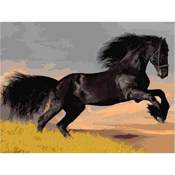paintings diy digital painting by numbers package mighty black horse oil mural kits coloring wall art picture gift frameless
paintings diy digital painting by numbers package mighty black horse oil mural kits coloring wall art picture gift frameless