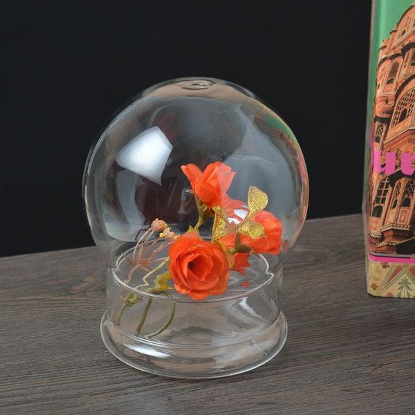 1 set moss micro landscape ecological landscape glass vase with cover micro glass bottle jy 1206
1 set moss micro landscape ecological landscape glass vase with cover micro glass bottle jy 1206