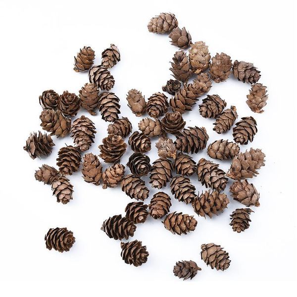 20 pieces artificial plants natural dried flowers pine cone acorn wedding home decoration diy christmas garlan qylske
20 pieces artificial plants natural dried flowers pine cone acorn wedding home decoration diy christmas garlan qylske