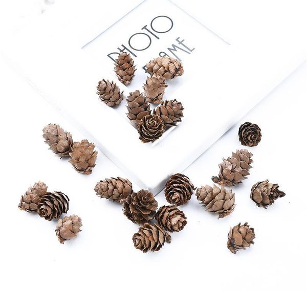 20 pieces artificial plants natural dried flowers pine cone acorn wedding home decoration diy christmas garlan qylqkc
20 pieces artificial plants natural dried flowers pine cone acorn wedding home decoration diy christmas garlan qylqkc