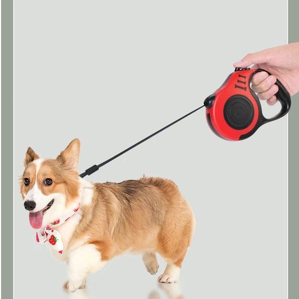 dog collars & leashes retractable leash automatic flexible dogs cat traction rope for small medium pet products 3m/5m
dog collars & leashes retractable leash automatic flexible dogs cat traction rope for small medium pet products 3m/5m