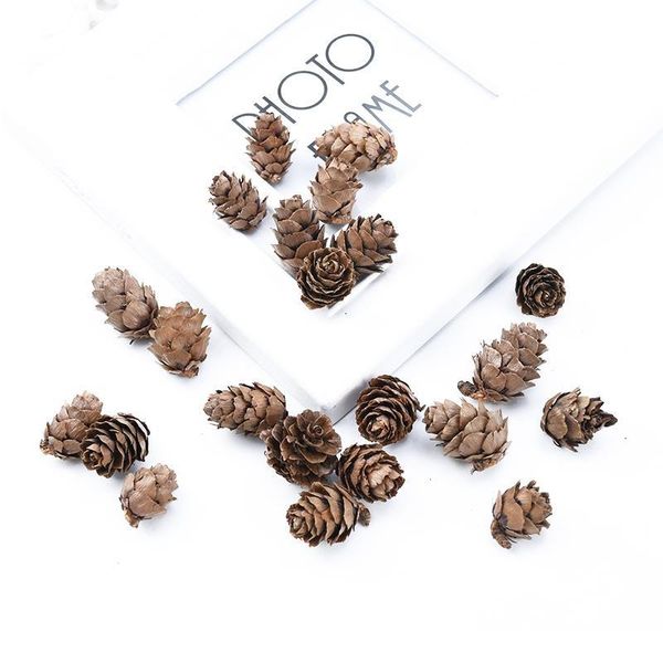 20 pieces artificial plants natural dried flowers pine cone acorn wedding home decoration diy christmas garlan jlluek
20 pieces artificial plants natural dried flowers pine cone acorn wedding home decoration diy christmas garlan jlluek