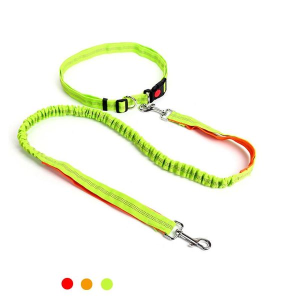 pet leash hands waist belt reflective adjustable dog lead nylon running jogging walking rope
pet leash hands waist belt reflective adjustable dog lead nylon running jogging walking rope