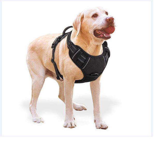 dog collars & leashes pet harness adjustable nylon no pull outdoor oxford vest reflective collar accessories for small medium large
dog collars & leashes pet harness adjustable nylon no pull outdoor oxford vest reflective collar accessories for small medium large