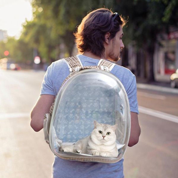 dog car seat covers transparent cat backpack pet outdoor storage bag breathable portable handbag travel pouch for
dog car seat covers transparent cat backpack pet outdoor storage bag breathable portable handbag travel pouch for