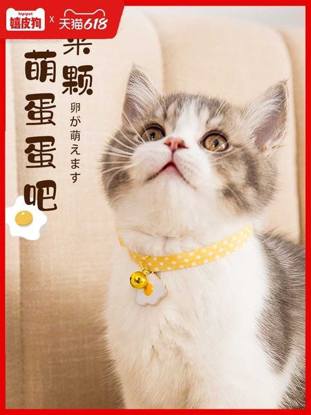 factory wxw cute pet collar bow tie small dog bell hanging neck cat tag jewelry decoration
factory wxw cute pet collar bow tie small dog bell hanging neck cat tag jewelry decoration