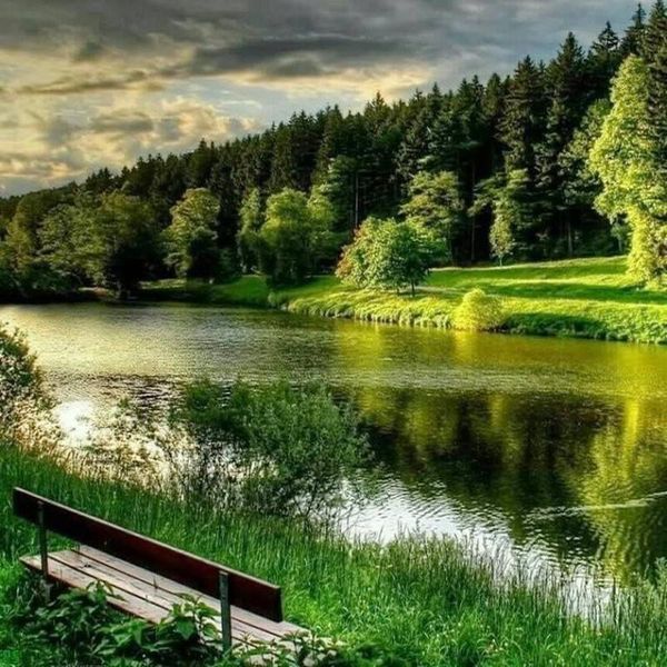 diamond painting 5d landscape forest full square/round mosaic sale picture rhinestone embroidery natural scenery 
diamond painting 5d landscape forest full square/round mosaic sale picture rhinestone embroidery natural scenery