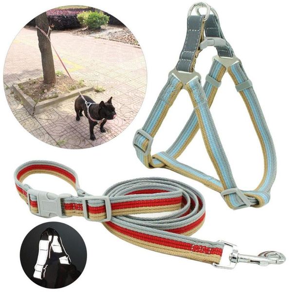 dog collars & leashes double-headed leash small medium large lead pet supplies for walking training running safety rope
dog collars & leashes double-headed leash small medium large lead pet supplies for walking training running safety rope
