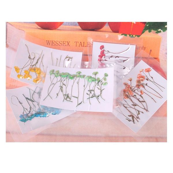 24pcs,nature pressed mini daisy with stem,eternal real flowers for diy wedding invitations bookmark gift card,scented jllgbq
24pcs,nature pressed mini daisy with stem,eternal real flowers for diy wedding invitations bookmark gift card,scented jllgbq