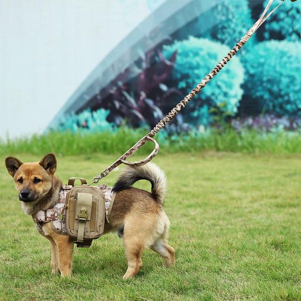 dog collars & leashes 6 color tactical rope outdoor pet traction summer nylon army fan belt
dog collars & leashes 6 color tactical rope outdoor pet traction summer nylon army fan belt
