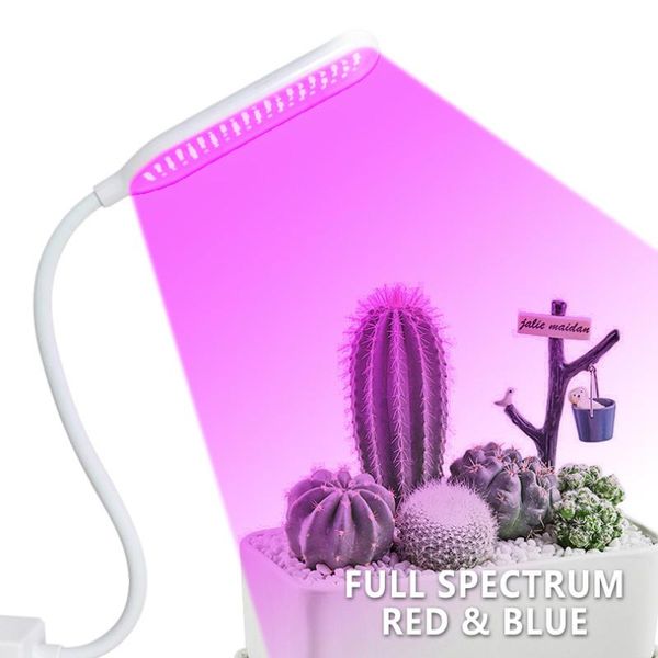 grow lights magnetic base full spectrum phyto lamp usb light led plant lighting for plants seedlings flower veg flowers
grow lights magnetic base full spectrum phyto lamp usb light led plant lighting for plants seedlings flower veg flowers