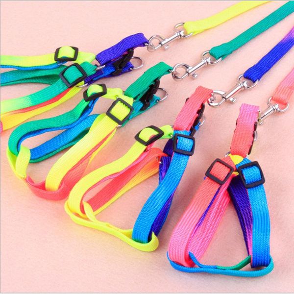 dog collars & leashes leash pet supplies adjustable rainbow with harness small lead collar belt
dog collars & leashes leash pet supplies adjustable rainbow with harness small lead collar belt