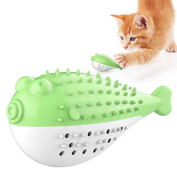 cat toys tpr puffer fish toothbrush catnip molar stick tooth cleaner pet toy bite-resistant chew play cats healthy teeth
cat toys tpr puffer fish toothbrush catnip molar stick tooth cleaner pet toy bite-resistant chew play cats healthy teeth