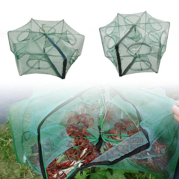 6/12 hole fishing net folded portable crayfish shrimp catcher tank trap china cages mesh traps accessories
6/12 hole fishing net folded portable crayfish shrimp catcher tank trap china cages mesh traps accessories