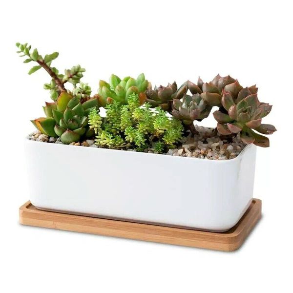 planters & pots 2pcs/set succulent plant white ceramic flower cactus planter with drainage hole home office desk decoration garden supplies
planters & pots 2pcs/set succulent plant white ceramic flower cactus planter with drainage hole home office desk decoration garden supplies