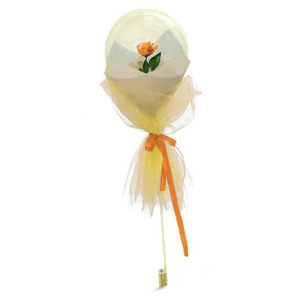 bobo ball hep balloon red bouquet posy led rose glow transparent gift holiday decoration luminous party valentine's day nosegay
bobo ball hep balloon red bouquet posy led rose glow transparent gift holiday decoration luminous party valentine's day nosegay