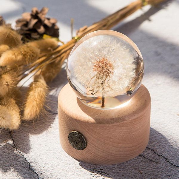 real dandelion flower crystal glass resin lens ball with stand mom gift christmas small wedding gifts for guests girlfriend kids
real dandelion flower crystal glass resin lens ball with stand mom gift christmas small wedding gifts for guests girlfriend kids