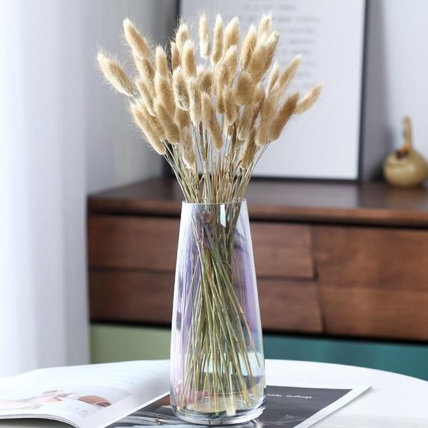 decorative flowers & wreaths 20pcs natural dried bouquet tail grass real dry flower wedding supplies marriage party home easter decor
decorative flowers & wreaths 20pcs natural dried bouquet tail grass real dry flower wedding supplies marriage party home easter decor