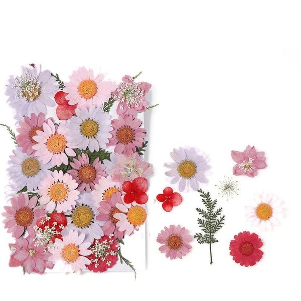 1pcs dried daisy real flower material flower for epoxy pendant necklace jewelry making craft phone case diy nail acc jllffr
1pcs dried daisy real flower material flower for epoxy pendant necklace jewelry making craft phone case diy nail acc jllffr