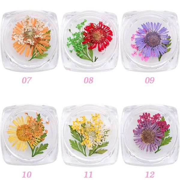 random 4 boxes real dried flower plants for epoxy resin pendant necklace jewelry making craft diy accessories/diy jlllsj
random 4 boxes real dried flower plants for epoxy resin pendant necklace jewelry making craft diy accessories/diy jlllsj