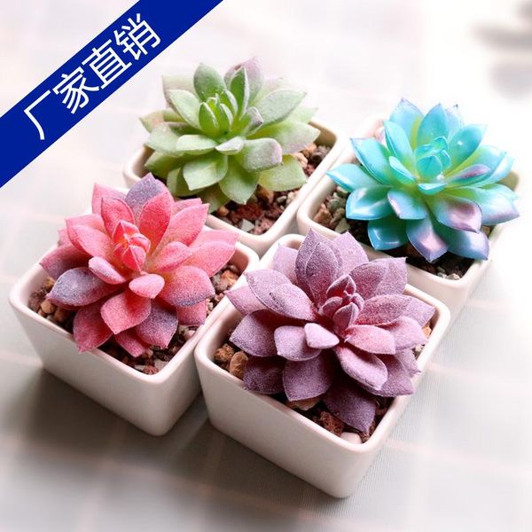 artificial succulent pant days twin lotus fake multi- indoor outdoor flowerpot green vegetation wall decoration
artificial succulent pant days twin lotus fake multi- indoor outdoor flowerpot green vegetation wall decoration